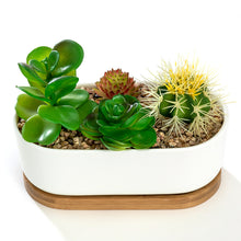 Load image into Gallery viewer, K-Cliffs 6.8&quot; Ceramic Modern White Oval Succulent Planter with Bamboo Saucer