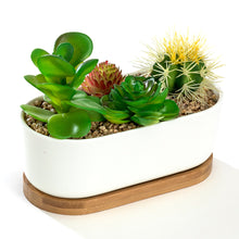 Load image into Gallery viewer, K-Cliffs 6.8&quot; Ceramic Modern White Oval Succulent Planter with Bamboo Saucer