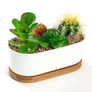 K-Cliffs 6.8" Ceramic Modern White Oval Succulent Planter with Bamboo Saucer