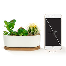 Load image into Gallery viewer, K-Cliffs 6.8&quot; Ceramic Modern White Oval Succulent Planter with Bamboo Saucer