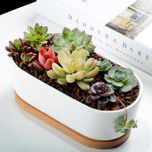 Load image into Gallery viewer, K-Cliffs 6.8&quot; Ceramic Modern White Oval Succulent Planter with Bamboo Saucer