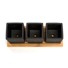 Load image into Gallery viewer, Set of 3pcs Square Black Succulent Planter Pots 2.5 inch Cement Pottery with Tray