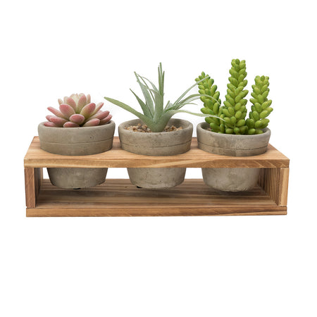 K-Cliffs Set of 3 Mini Gray Cement Pots with Wood Display Stand for Succulents