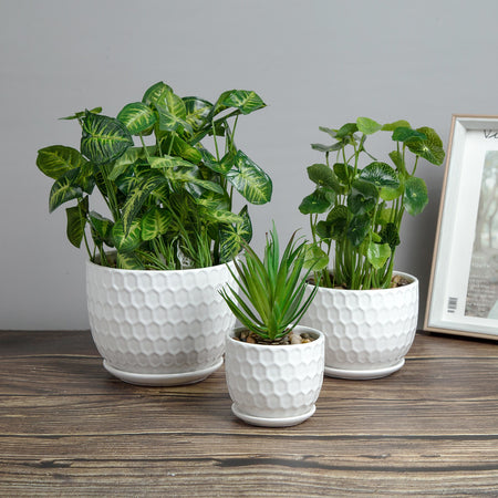 K-Cliffs Set of 3 Golf Ball-Inspired White Round Ceramic Planters with Drainage Hole w/Attached Saucers, SML Sized