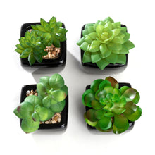 Load image into Gallery viewer, K-Cliffs Set of 4 Modern Mini Artificial Succulents Potted in Cube-Shape Black Ceramic Pots