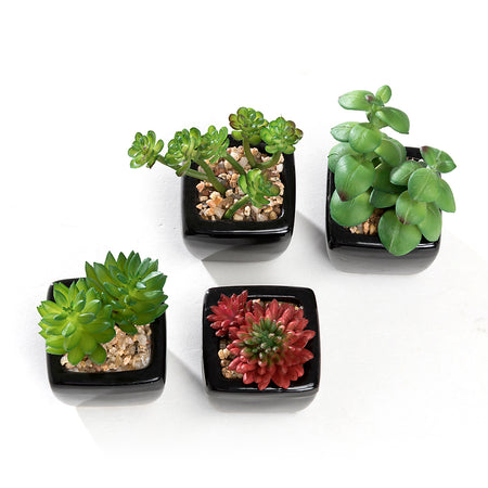 Mini K-Cliffs Artificial Succulent Green 4.3" Potted Topiary Plants in White Cube Shape Pot 4 pieces Set