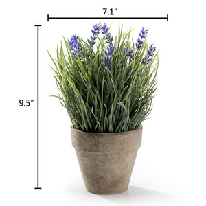 K-Cliffs Artificial Provence Grass with Lavender Purple Flowers Plant