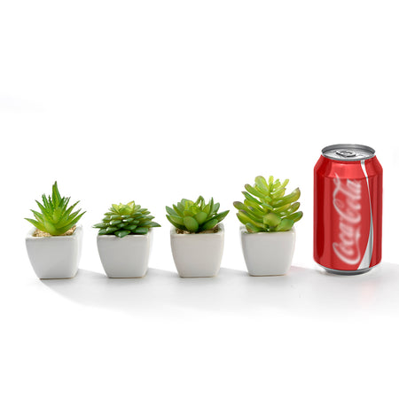 K-Cliffs Set of 4 Artificial Succulents Potted in Cube-Shape White Ceramic Pots