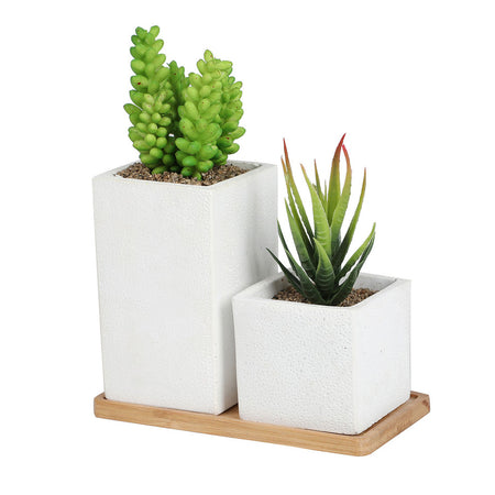 K-Cliffs Faux Succulents in Square Shaped White Cement Pot with Saucer , Set of 2