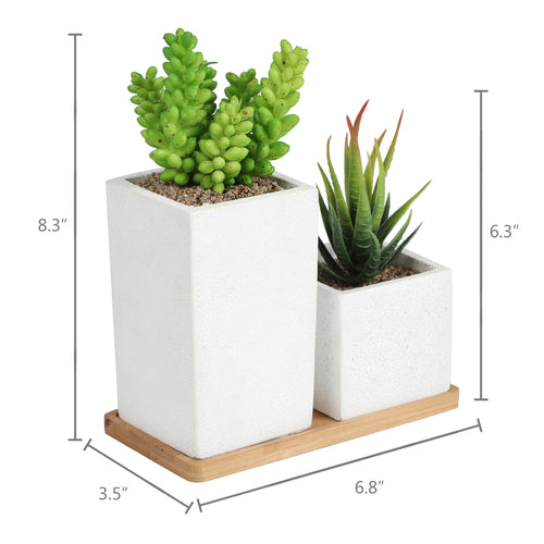 K-Cliffs Faux Succulents in Square Shaped White Cement Pot with Saucer , Set of 2