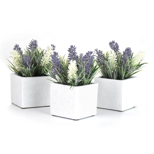 K-Cliffs Faux Lavender and White Flowers in 2.9 Inch White Cement Pot,  Set of 3