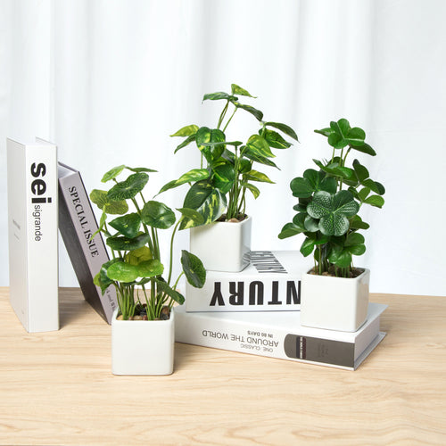 Set of 3 Potted  Faux Tabletop Plants in White Ceramic Square Pots