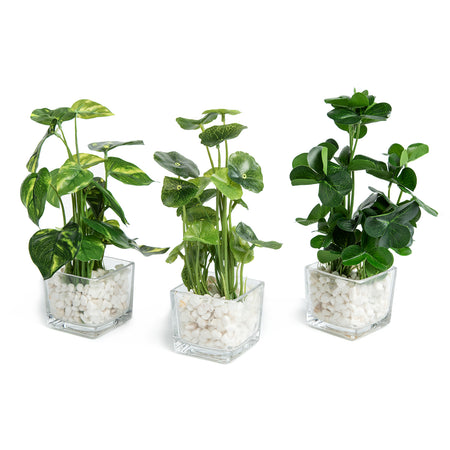 Set of 3 Potted Faux  Plants in Clear Glass Square Pots with Decorative White Stones