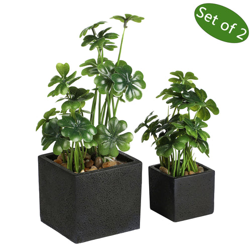 K-Cliffs Faux Tabletop Greenery in Square Black Cement Planted Pots, Set of 2