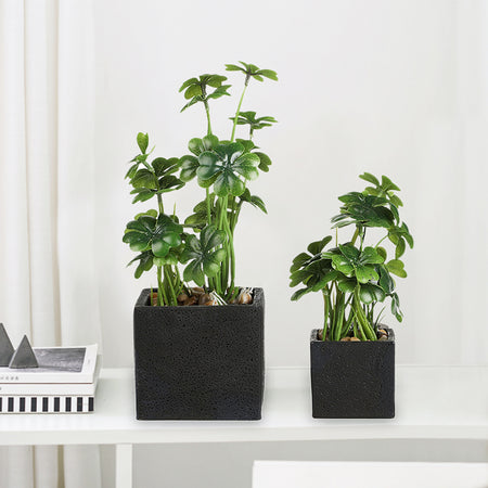 Artificial Desktop Plant Faux Tabletop Greenery in Square Black Cement Plant pots for Office and Home décor, Set of 2