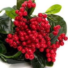 Load image into Gallery viewer, K-Cliffs Artificial Red Berries 3pcs Unpotted  Shrubs with Green Leaves Bouquets