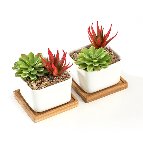 K-Cliffs Set of 2 White Square Ceramic Succulent Plant Pot/Cactus with Bamboo Tray