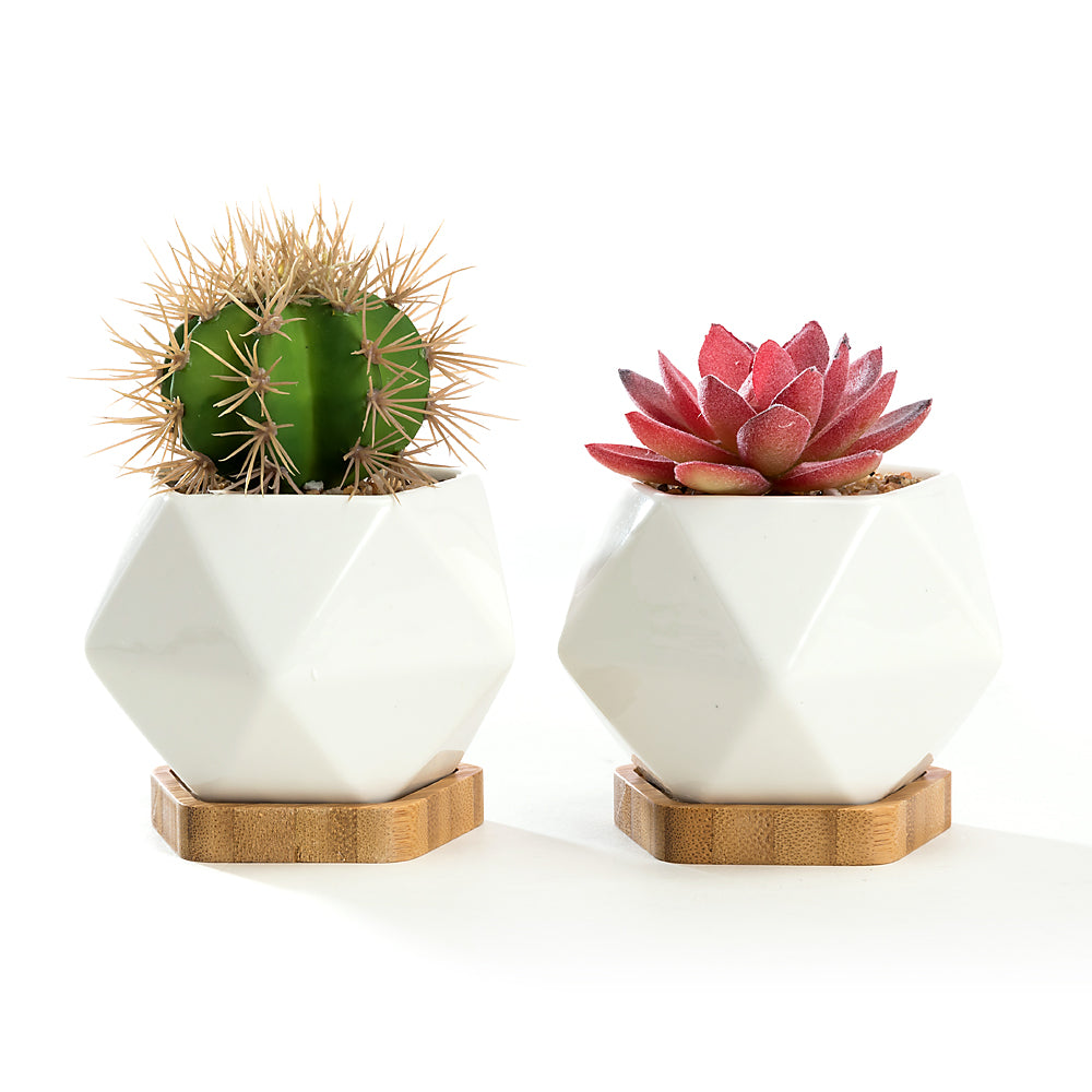 Succulent Pots, White Mini Ceramic Flower Planter Pot with Bamboo Tray -  Plants Not Included