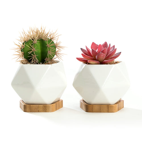 K-Cliffs Set of 2 White Diamond Shape Ceramic Succulent Plant Pot with Bamboo Tray,