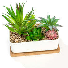 Load image into Gallery viewer, White Rectangular Ceramic Succulent Planter Pot with Bamboo Saucer