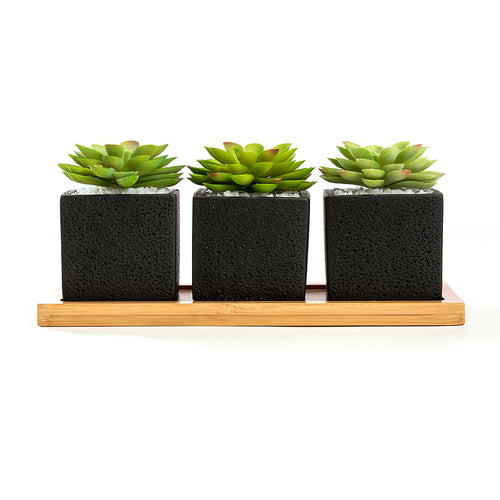 K-Cliffs Set of 3pcs Square Black Succulent Planter Pots 2.5 inch Cement Pottery with Tray