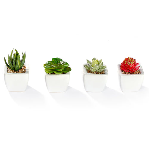 K-Cliffs Set of 4 Mini Assorted Artificial Succulent Plants in White Ceramic Planter Pots