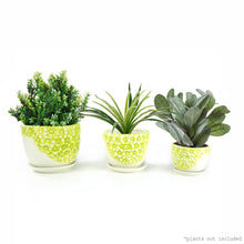 Load image into Gallery viewer, K-Cliffs Lime Yellow Daisies Ceramic Plant Pots 3 Set w/ Water Draining Hole and Saucer