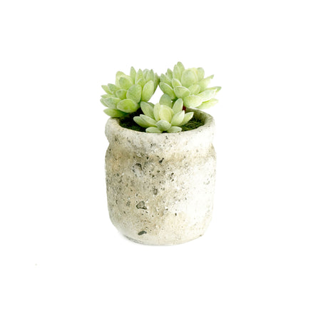 Set of 3 Realistic Faux Succulent Plants in Cement Pot Planter