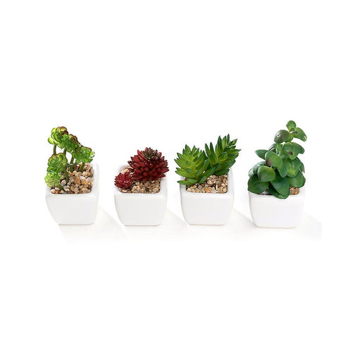 Set of 4 Different Mini Artificial Succulent Plants Potted in Cube-Shape White Ceramic Pot