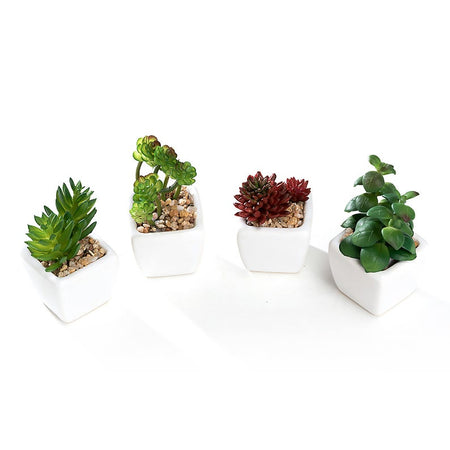 Set of 4 Different Mini Artificial Succulent Plants Potted in Cube-Shape White Ceramic Pot